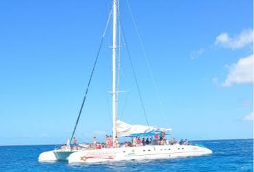 Saona Island Day Trip + Lobsters Included