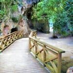 Los Haitises National Park + Lunch at Caño Hondo from Sabana de la Mar