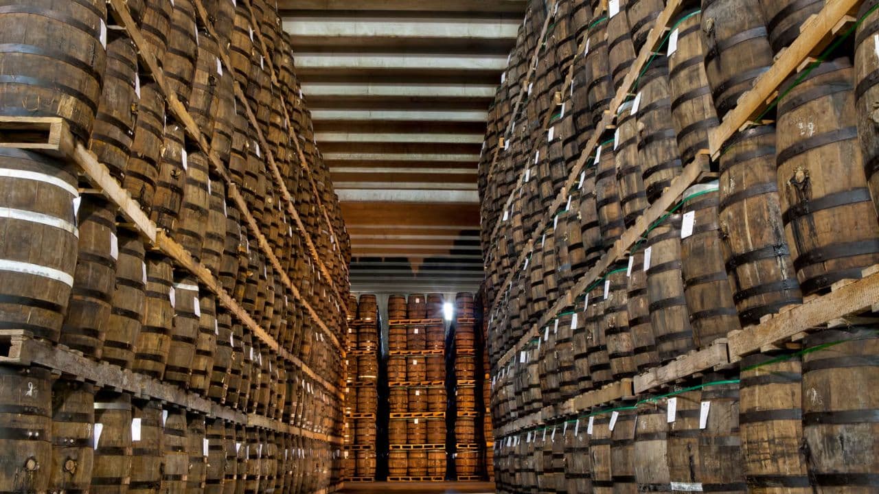 Ron Barcerló: Rum Factory Tour with Rum Tastings
