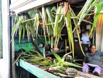 From Puerto Plata Priv: Cocoa, Coffee, Cigars & Local Market