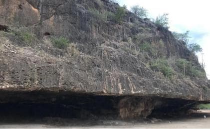 Bahía de las águilas glamping experience from Santo Domingo