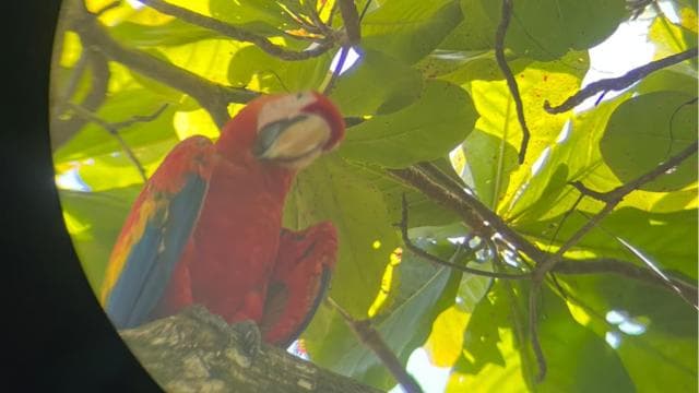 Uvita: Hiking in Corcovado National Park