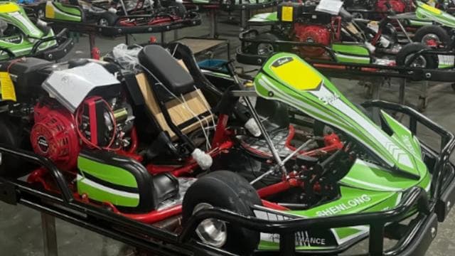Punta Cana: Go Karting