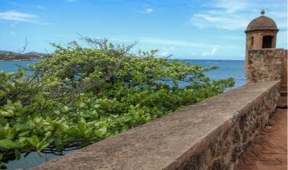 Half Day Cultura Tour of the City of Special for Cruise Ship