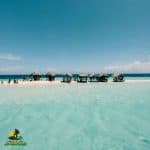 Paradise Island & The Mangroves, Snorkeling (Cayo Arena) Day Pass. Half Day Trip.
