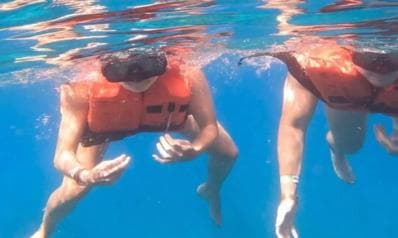 Private: Catalina Island Diving Tour with Lunch
