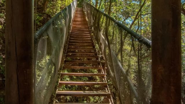 Rincón de la Vieja: One-Day Nature Tour