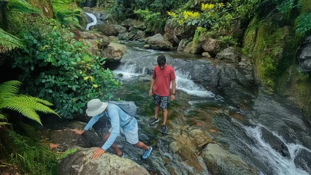 Discover a Hidden Paradise & Learn about Plants. - Dominican Republic