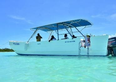 All-Inclusive Excursion to Saona Island from Punta Cana: Lunch and Open Bar