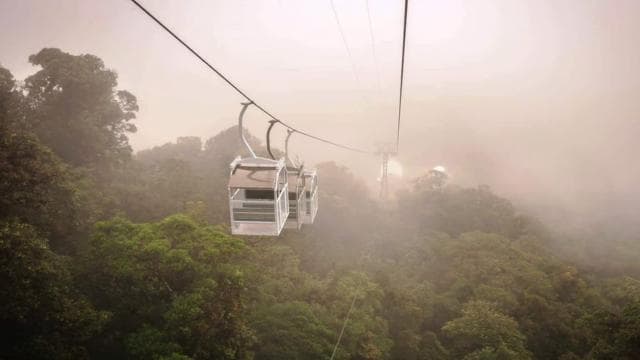 San Jose: Monteverde Sky Tram & Hanging Bridges Day Tour