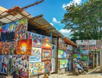 Punta Cana: Safari Outdoor Adventure with Hotel Pickup