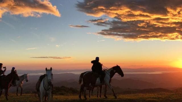 Monteverde: Horseback Riding Tour