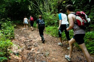 Private: Trekking to Pico Duarte, Caribbean’s Tallest Summit
