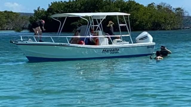From La Parguera: Local Sandbars Speedboat Day Trip