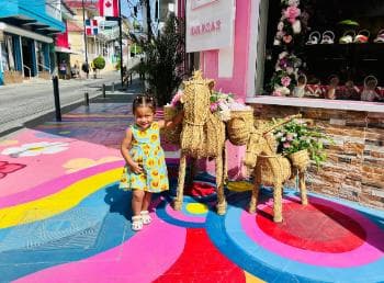 Puerto Plata Private City Tour