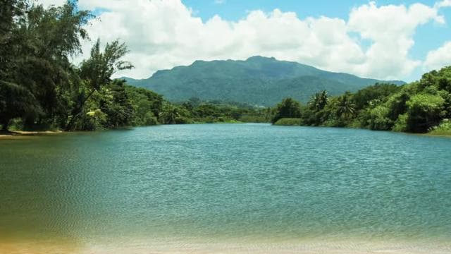 Carabalí Rainforest Park: Rainforest Horseback Riding Tour
