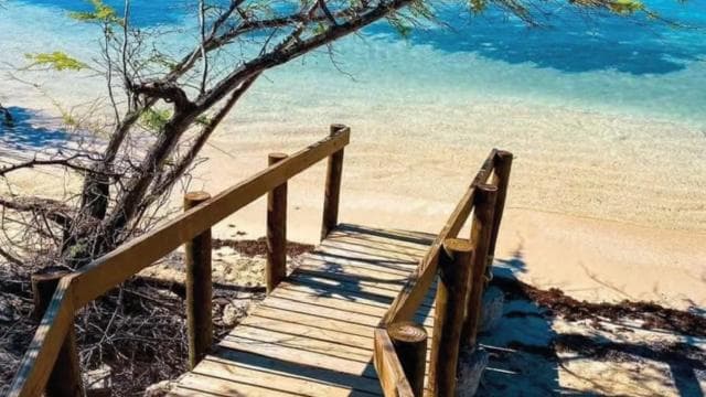 Puerto Rico: 4-in-1 Waterfalls, Beaches & Hikes Experience