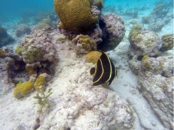 Private Catalina Island Snorkel & Beach Day from Punta Cana