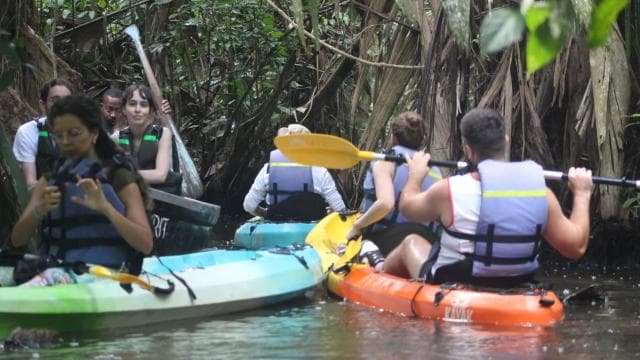 Tortuguero: KAYAK Tour in the Canals. An Unparalleled Experience