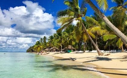 Santo Domingo: Tagesausflug zur Insel Saona mit Mittagessen und Getränken - Dominican Republic