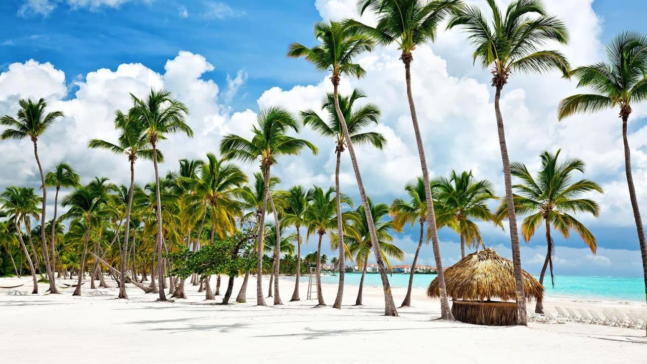 Saona Island Tour with Lunch from Santo Domingo