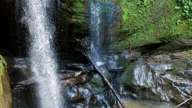 Puerto Viejo or Cahuita: Bribri Hidden Waterfalls Excursion with Lunch - Dominican Republic