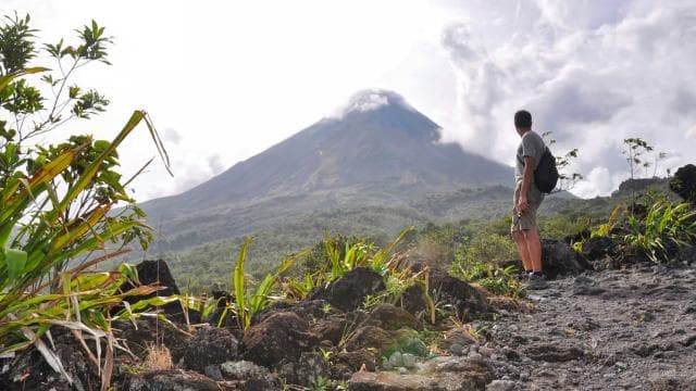 La Fortuna: Hanging Bridges, Arenal Volcano, and Falls Tour