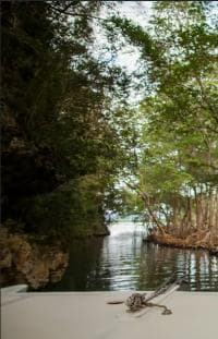 Punta Cana: Countryside and Macao Beach Half-Day Buggy Tour