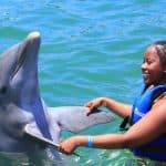 Dolphin Swim in Punta Cana – Best 60-min Dolphin Discovery