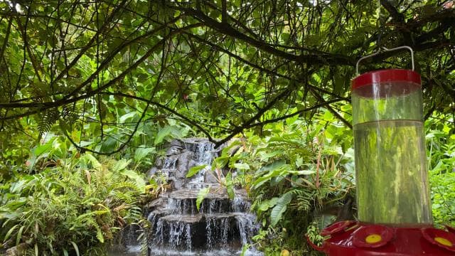 Tageskarte für die La Paz Waterfall Gardens - Dominican Republic