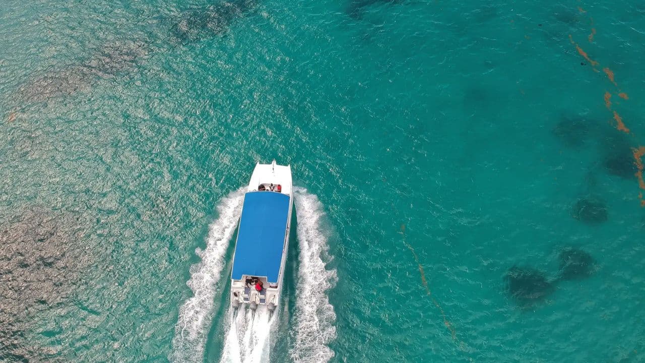 Pivate boat Saona Island Day Trip with Snorkeling and Lunch