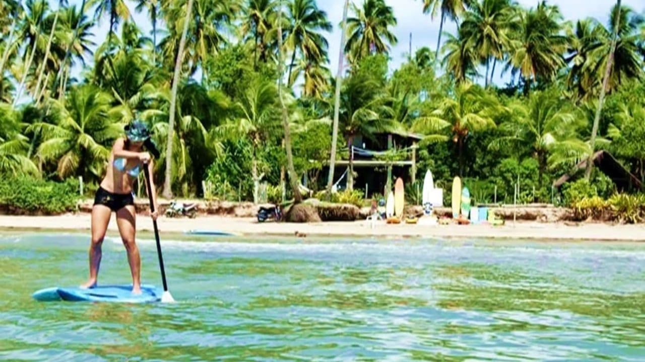 Private Transfert Punta Cana Airport to Bahia P. Fantasia