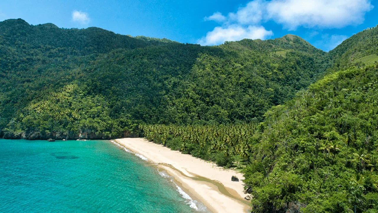 Adventure in Buggies in Playa Rincón from Samaná