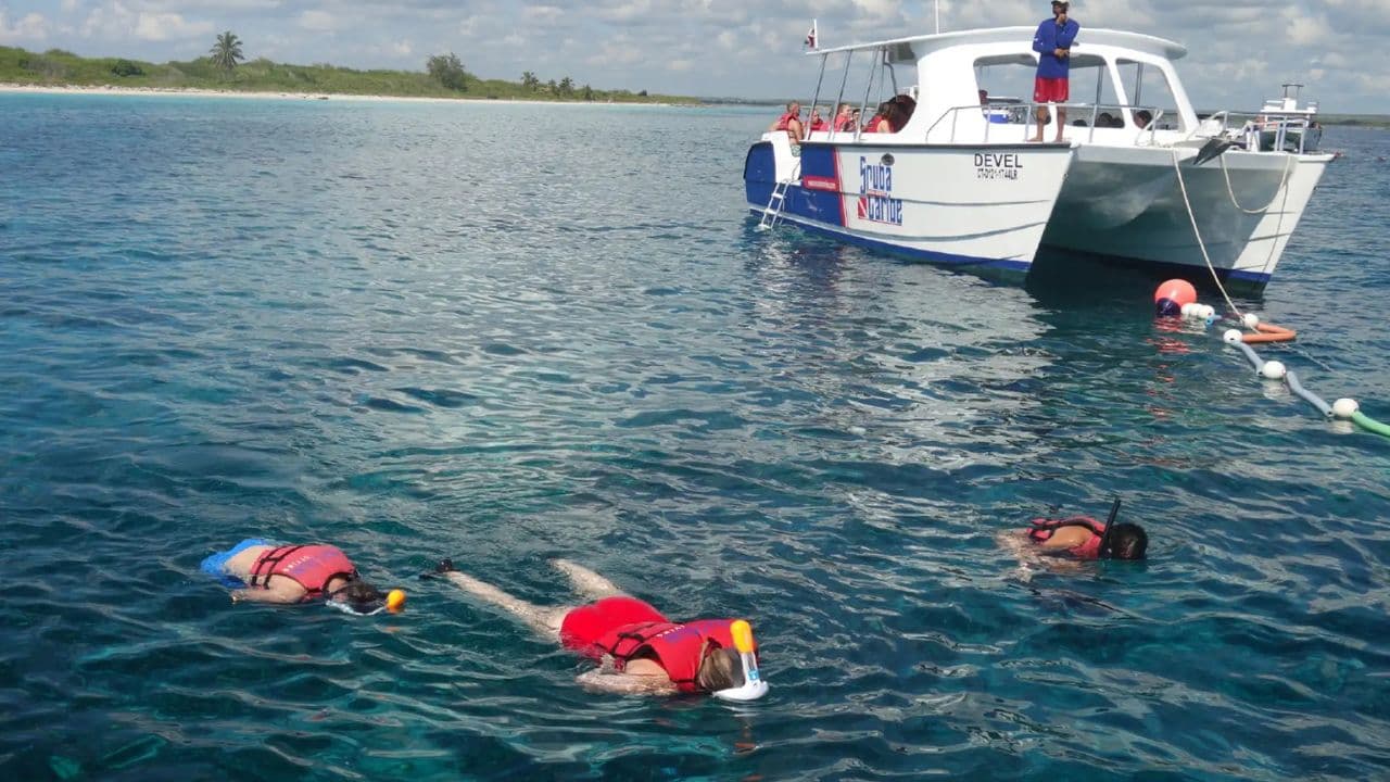 Saona Island Full-Day Tour with Lunch from Punta Cana