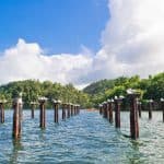 Punta Cana: Los Haitises National Park, Yanigua Waterfalls & Montana Redonda