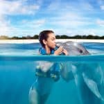 Punta Cana: Dolphin Discovery Swims and Encounters