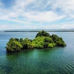 Private Boat Trip & 2 Hours Hiking Rain Forest Los Haitises