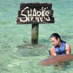 Four Adventures: Parasailing, Snorkeling Cruise, Sharks & Rays in Natural Pools from Punta Cana