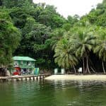Los Haitises National Park + Lunch at Caño Hondo from Sabana de la Mar