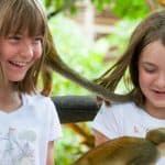 Samaná: Monkeyland and Open-Air Safari Truck Tour