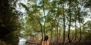 https://gobookingadventures.com/tour/los-haitises-boat-excursion-and-walking-tour-with-lunch