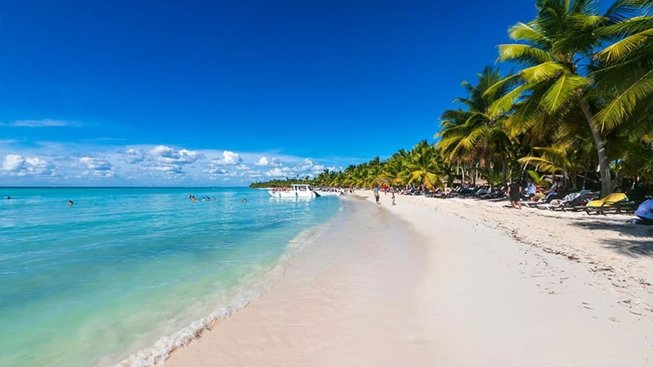 Saona Island: Full-Day Boat Tour with Drinks & Buffet Lunch