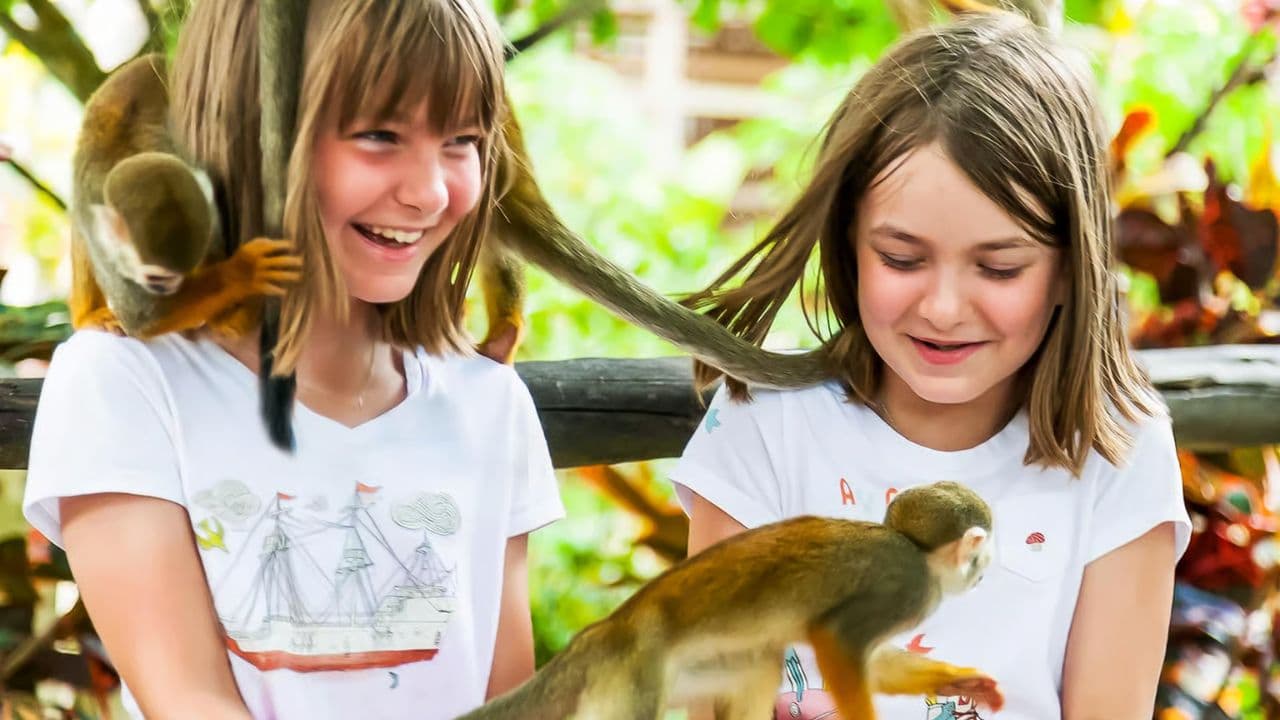 Monkeyland tour + Transportation from cruise/hotel