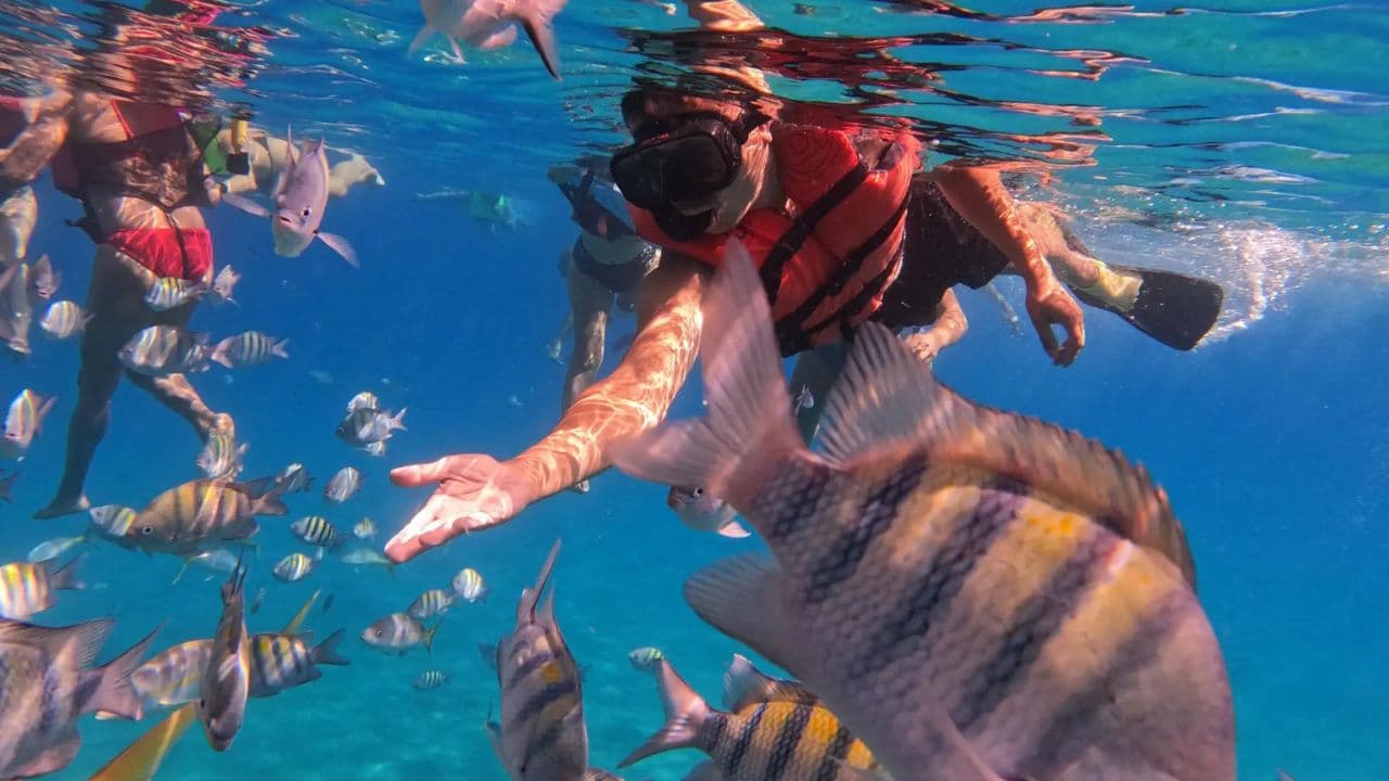 Adventure in Puerto Plata: City Tour + Buggie + Beach