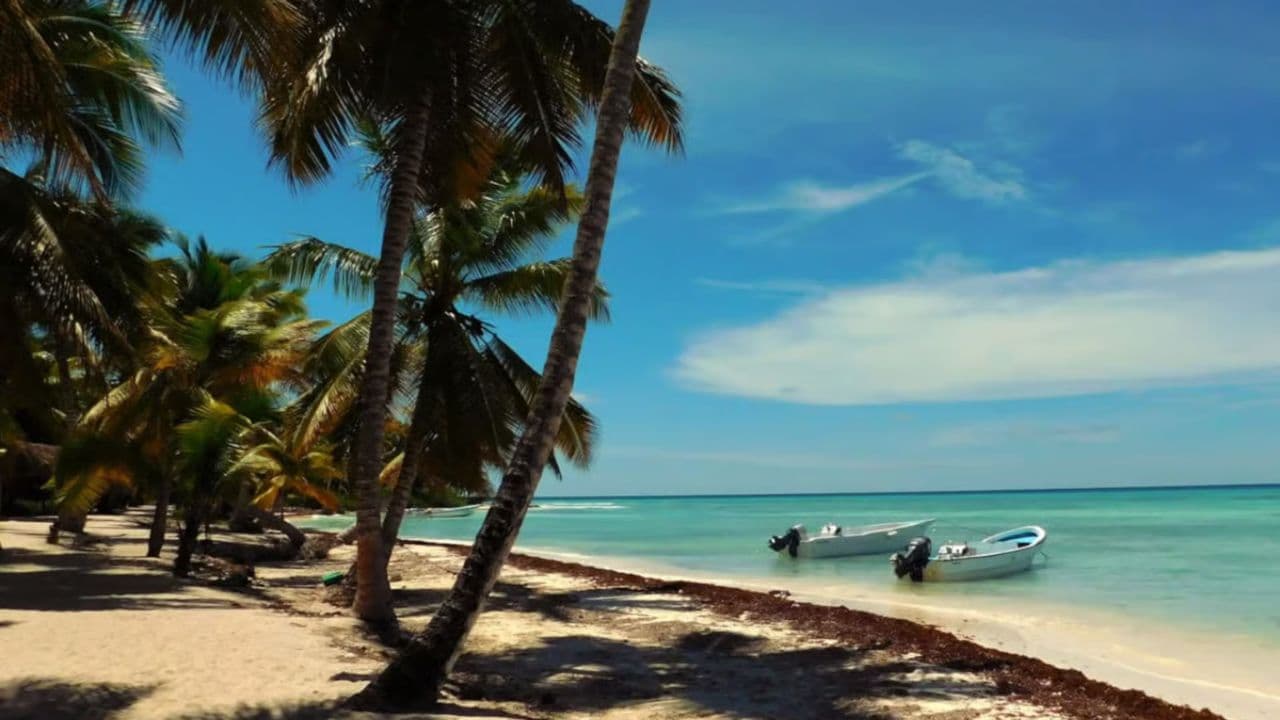 Saona Island From Punta Cana with transportation included