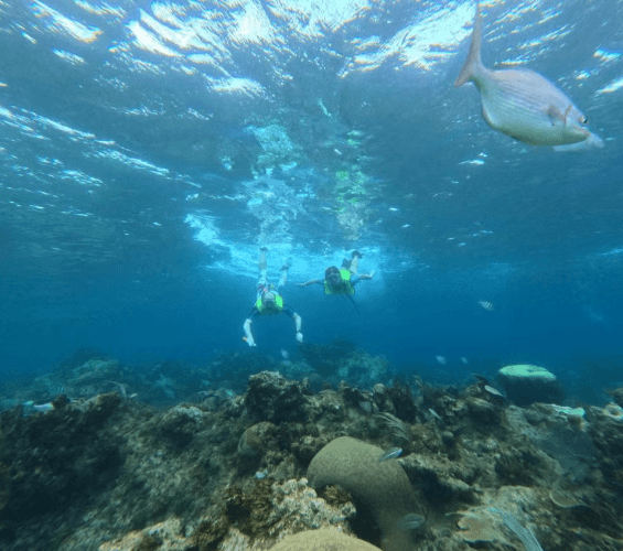 Snorkelling at Coral Beach + Saturn Cave