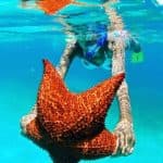 Punta Cana: Saona Island Day Trip with VIP Option