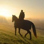 Punta Cana: Sunset Horseback Ride in Macao Beach and Forest