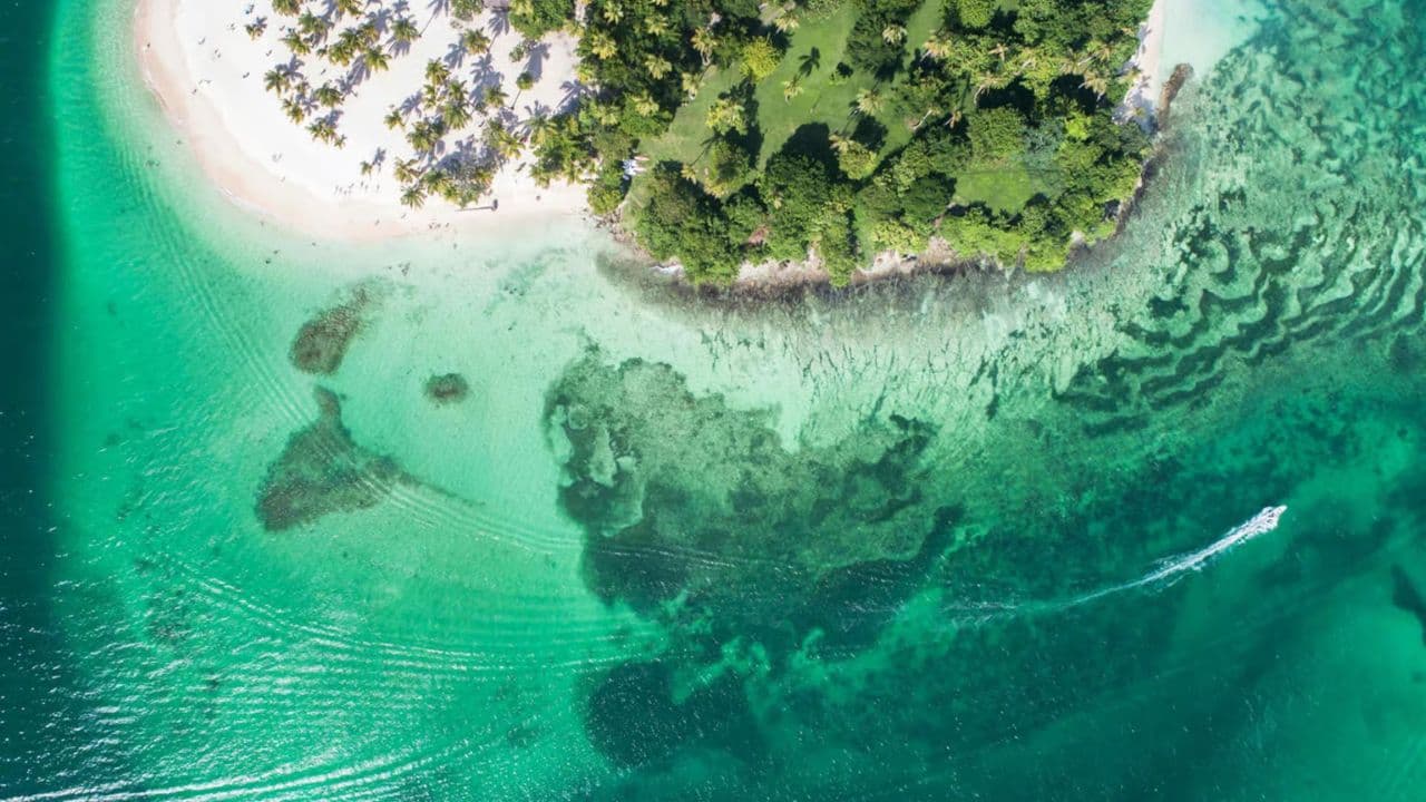Samana Platinum