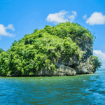 Los Haitises Boat Ride + Caño Hondo Natural Pools